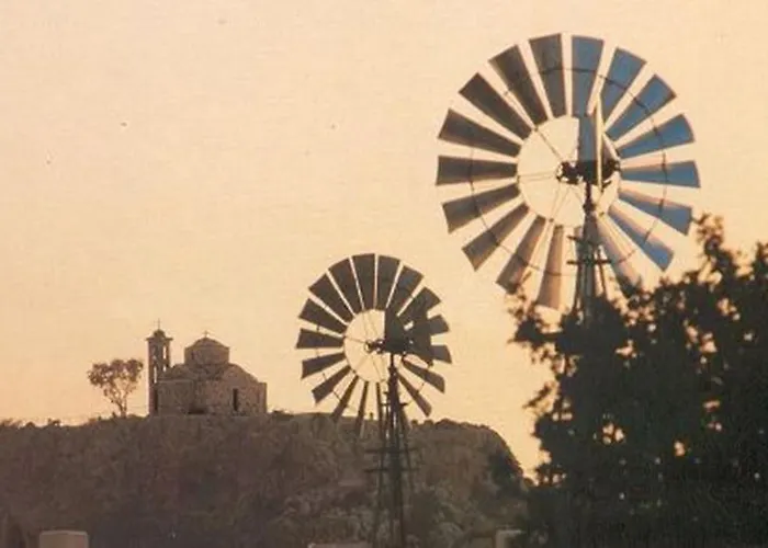 Chara Cynthiana * Paralimni