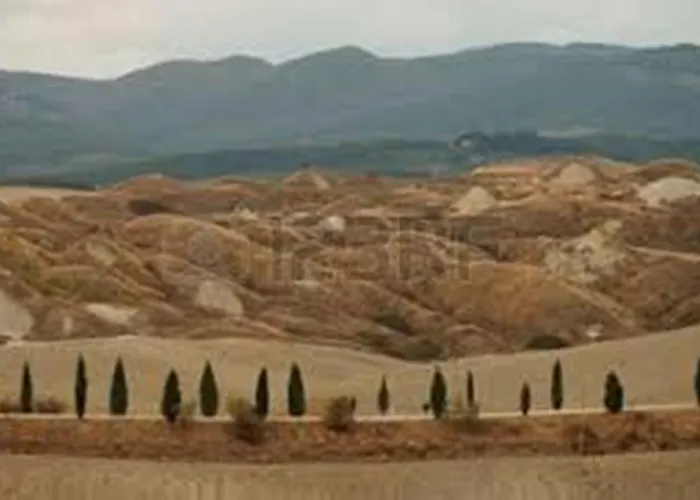 Chara Cynthiana Paralimni