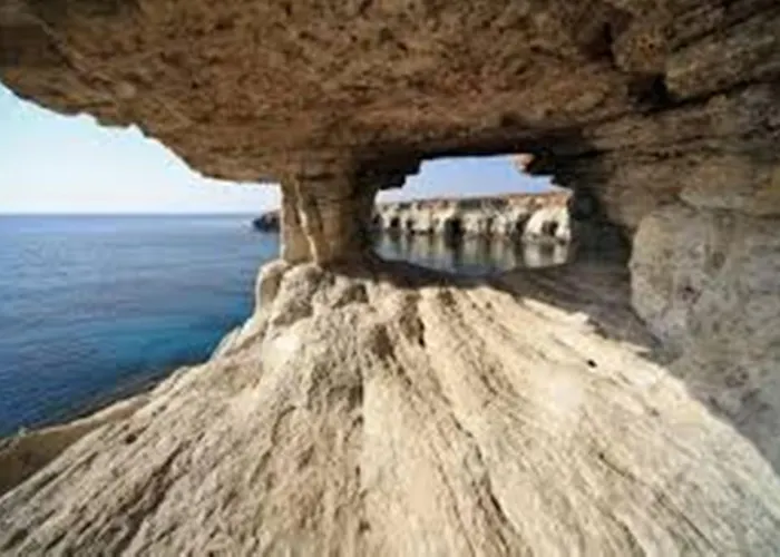 Willa Chara Cynthiana Paralimni